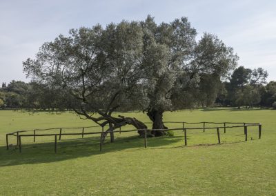 National Park Brijuni